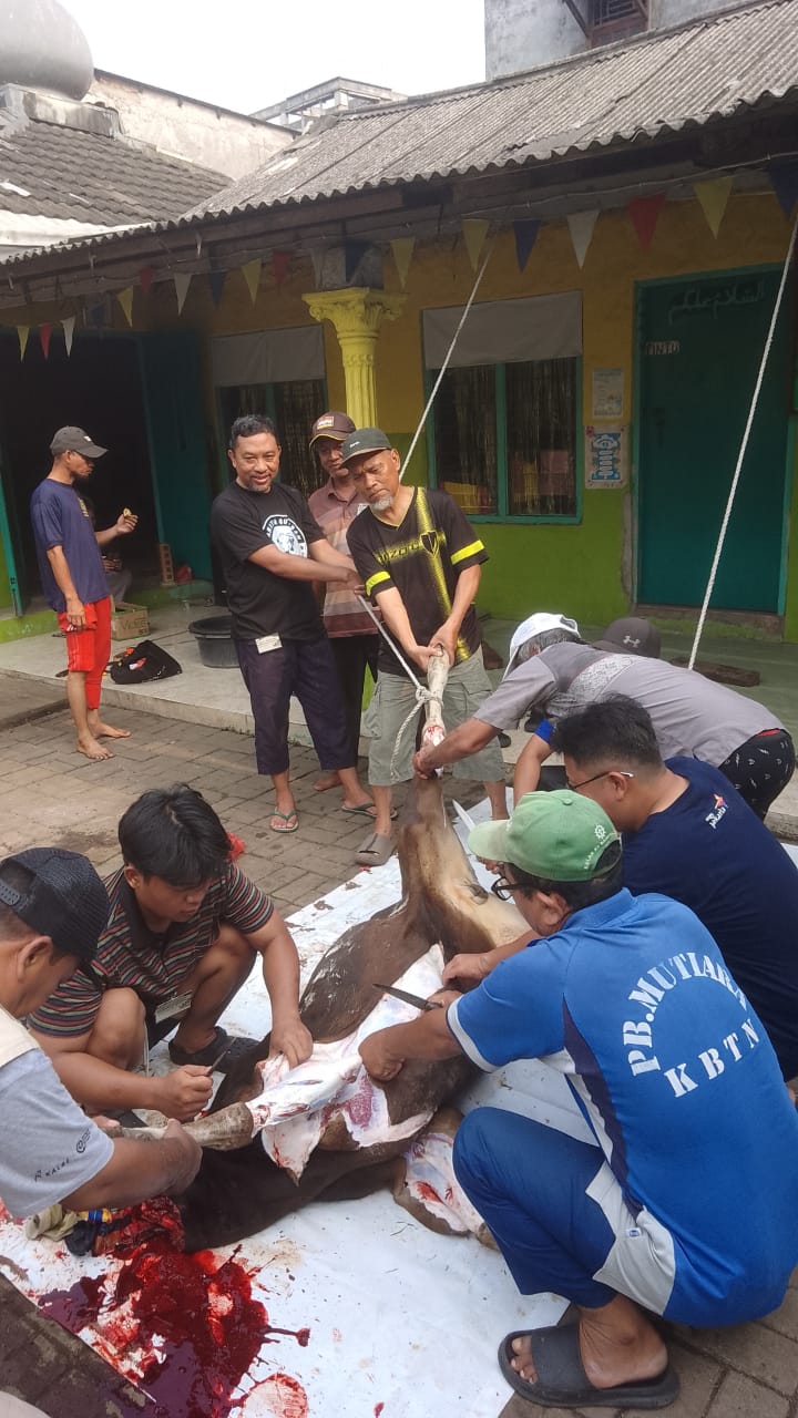 Pelaksanaan Qurban 1447 H di Langgar Kidoel Aisyiyah Berjalan Lancar dan Penuh Kebersamaan